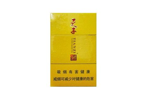 6元特富意香烟厂家